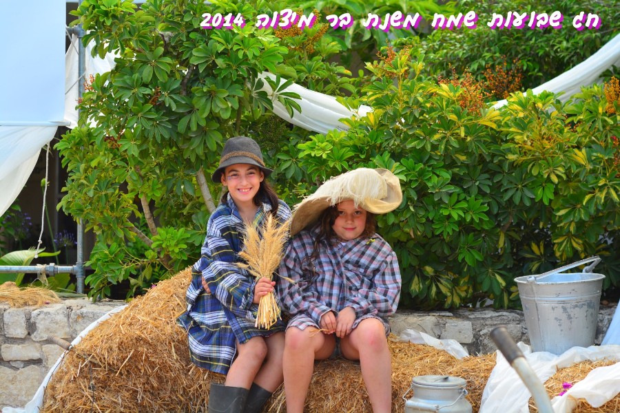 שבועות 2014