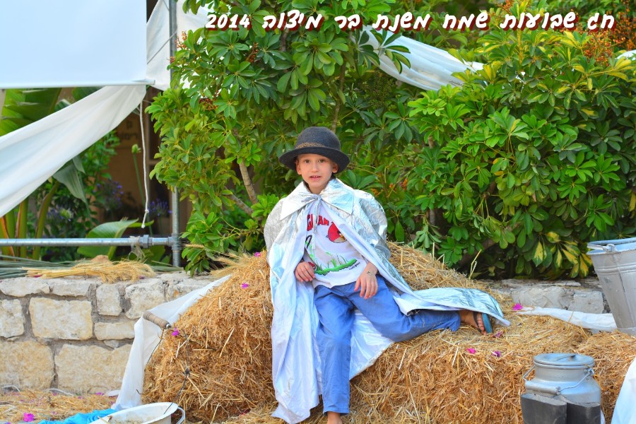 שבועות 2014