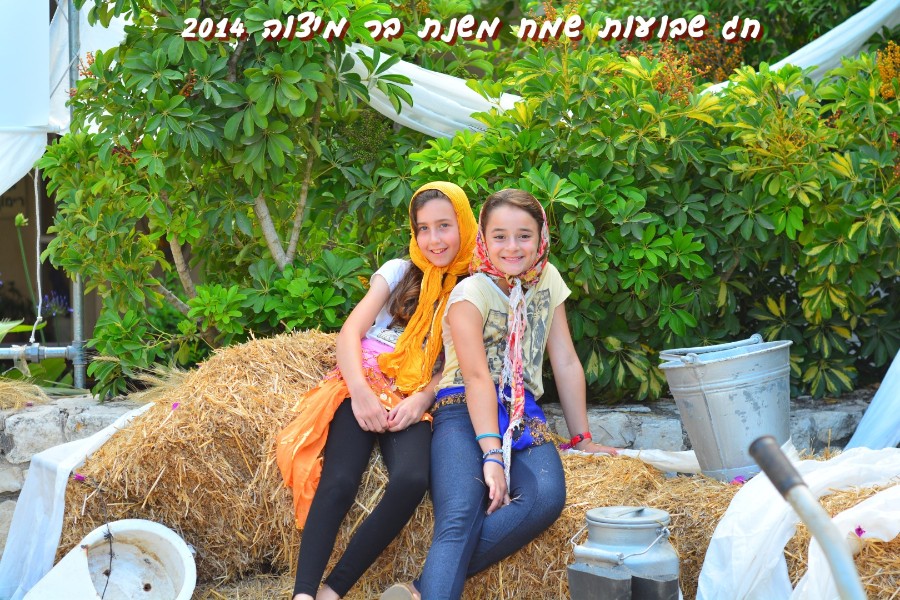 שבועות 2014