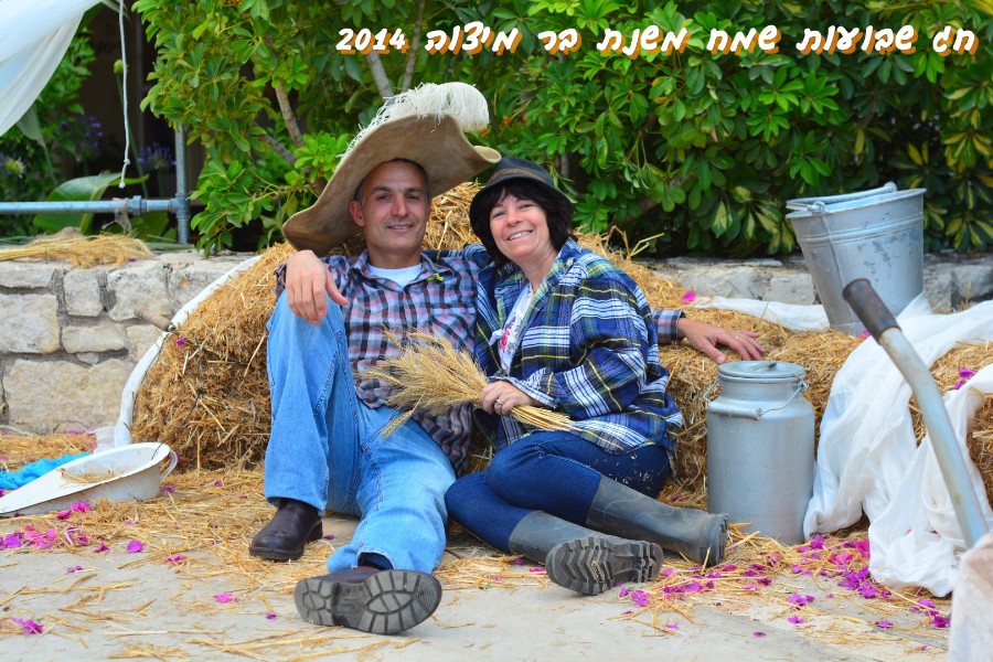 שבועות 2014