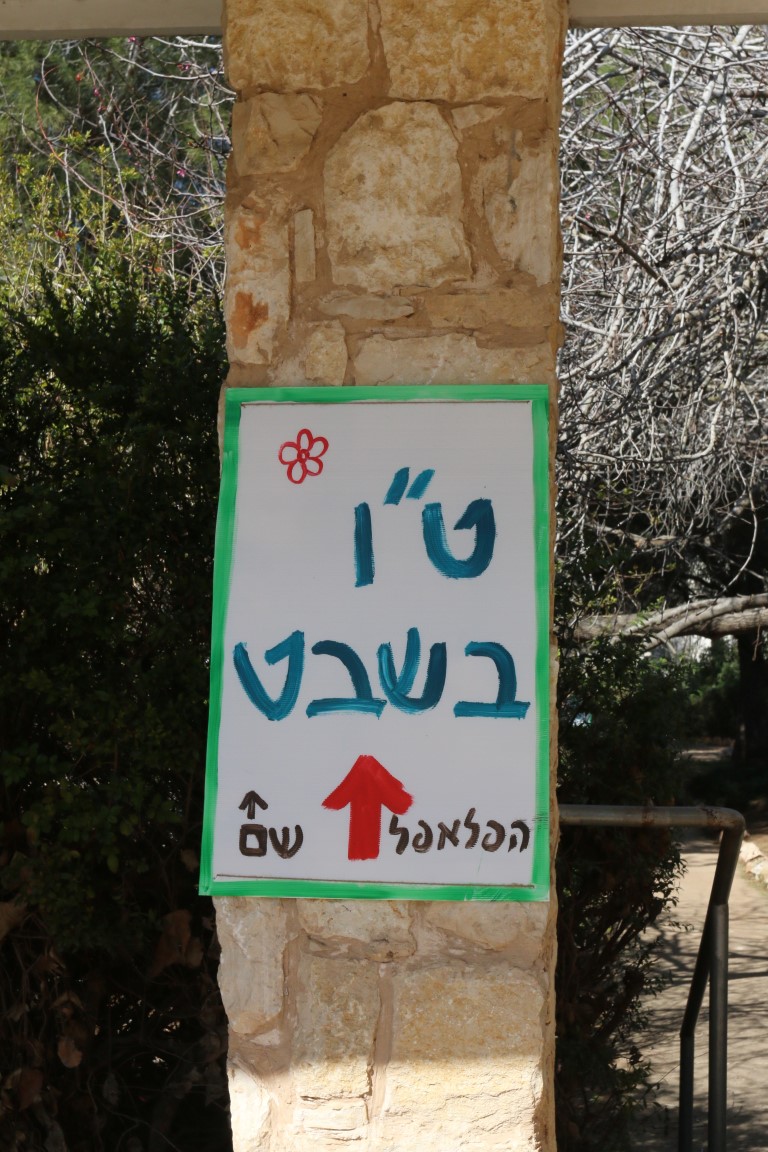 IMG_9216 (Medium)