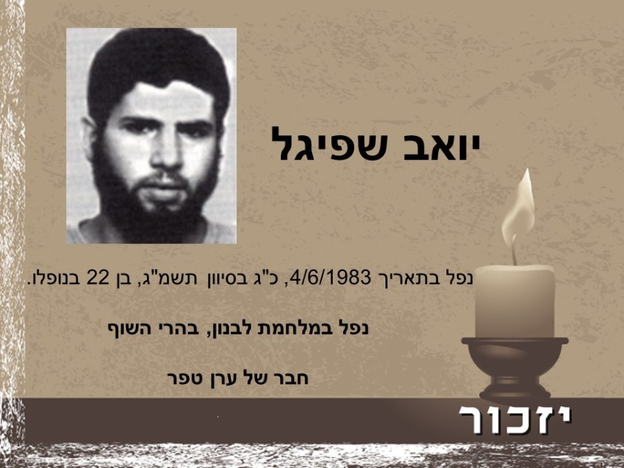 יום הזיכרון לחללי מערכות ישראל ולנפגעי פעולות האיבה רשימת הנופלים